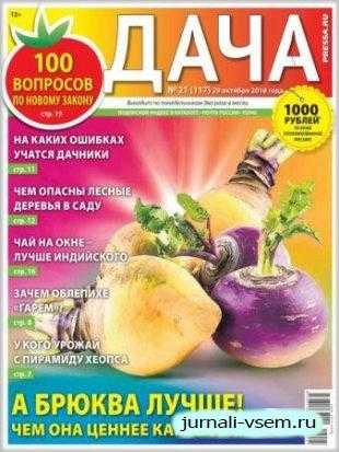 Дача №21 октябрь 2018