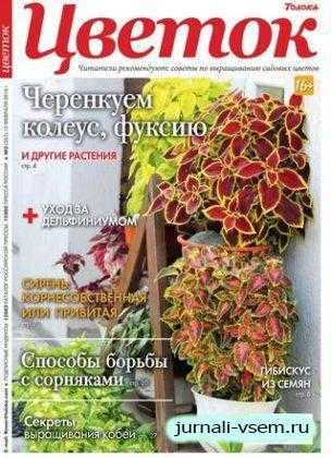 Цветок №3 февраль 2019