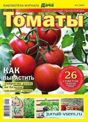 Моя любимая дача №1 Библиотека февраль 2019