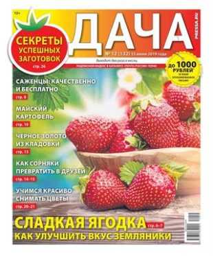 Дача №12 июнь 2019