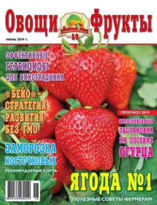 Овощи и фрукты №6 июнь 2019