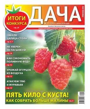 Дача №11 июнь 2019
