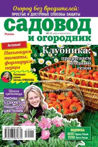 Садовод и огородник №11 июнь 2019