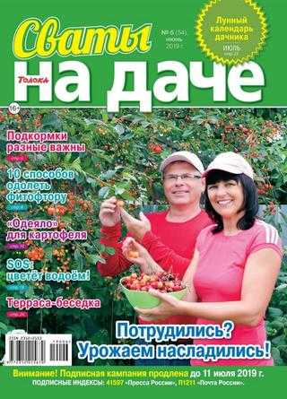 Сваты На даче №6 июнь 2019