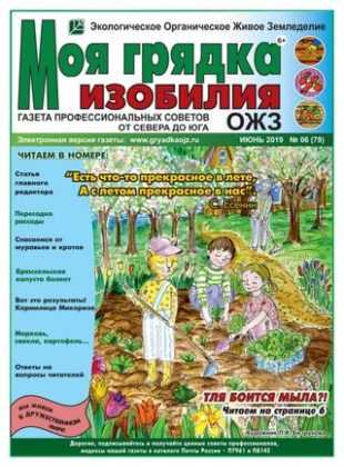 Моя грядка изобилия №6 июнь 2019