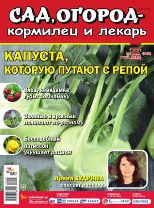 Сад огород кормилец и лекарь №11 июнь 2019