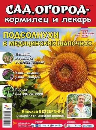 Сад огород кормилец и лекарь №13 июль 2019