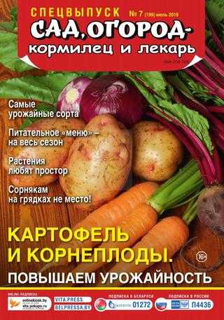 Сад огород кормилец и лекарь Спецвыпуск №7 июль 2019
