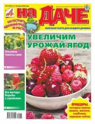 АиФ На даче №11 июнь 2019