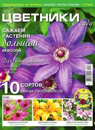 Цветники в саду №8 август 2019