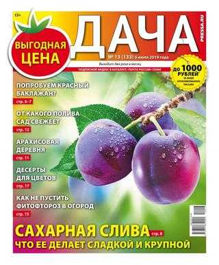 Дача №13 июль 2019