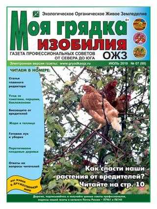 Моя грядка изобилия №7 июль 2019