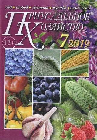 Приусадебное хозяйство №7 июль 2019