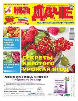 АиФ На даче №14 июль 2019