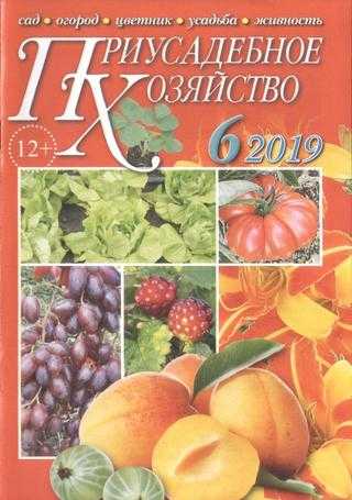 Приусадебное хозяйство №6 июнь 2019