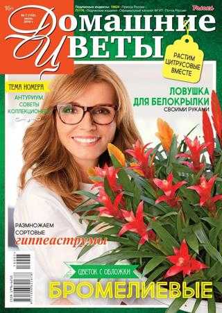 Домашние цветы №7 июль 2019
