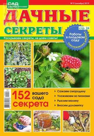 Дачные Секреты №9 сентябрь 2019