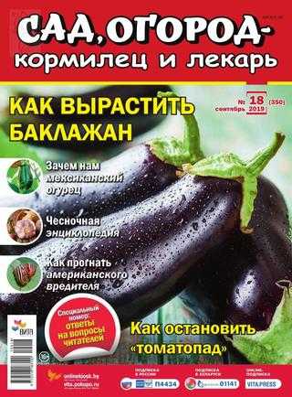 Сад огород кормилец и лекарь №18 сентябрь 2019