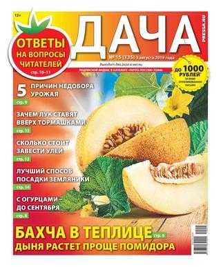 Дача №15 август 2019