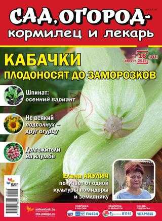 Сад огород кормилец и лекарь №16 август 2019