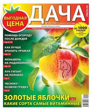 Дача №16 август 2019
