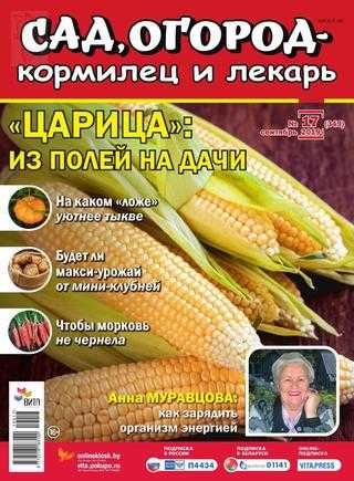 Сад огород кормилец и лекарь №17 сентябрь 2019