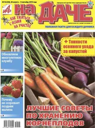АиФ На даче №16 август-сентябрь 2019