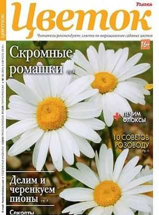 Цветок №15 август 2019