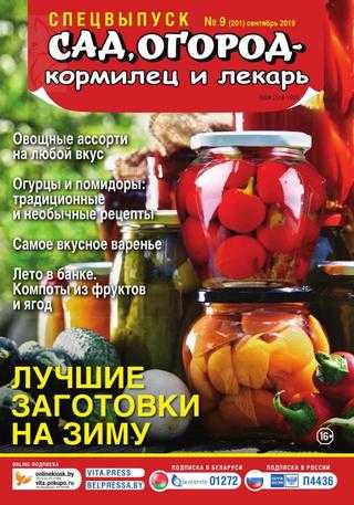Сад огород кормилец и лекарь Спецвыпуск №9 сентябрь 2019