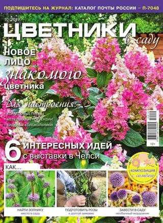 Цветники в саду №10 октябрь 2019