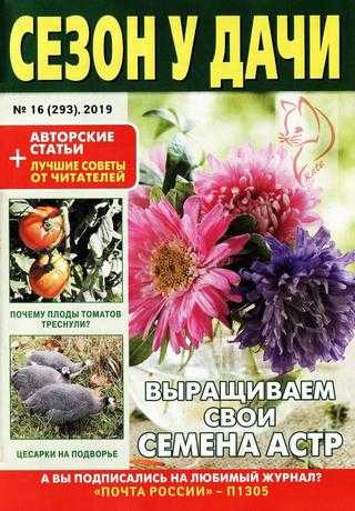 Сезон у дачи №16 август 2019