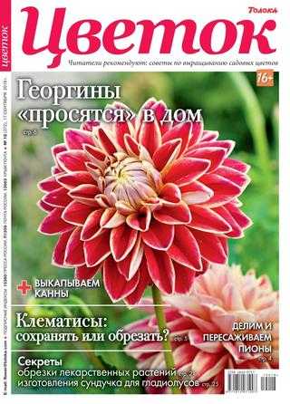 Цветок №18 сентябрь 2019