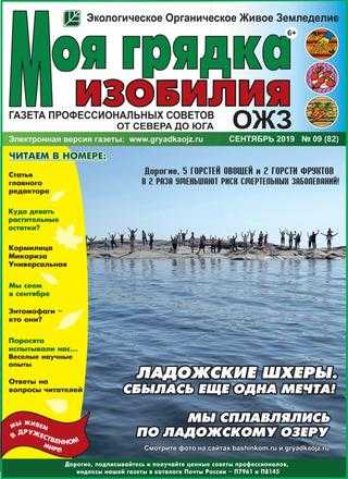 Моя грядка изобилия №9 сентябрь 2019