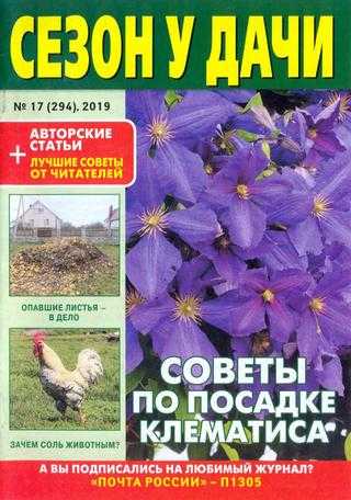 Сезон у дачи №17 сентябрь 2019