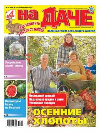 АиФ На даче №19 октябрь 2019