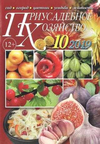 Приусадебное хозяйство №10 октябрь 2019