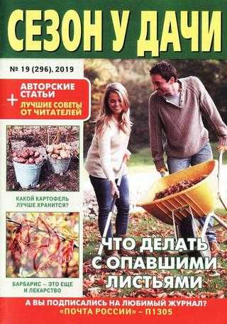 Сезон у дачи №19 октябрь 2019