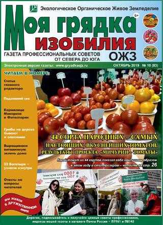 Моя грядка изобилия №10 октябрь 2019