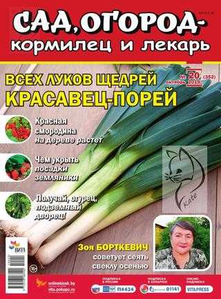 Сад огород кормилец и лекарь №20 октябрь 2019