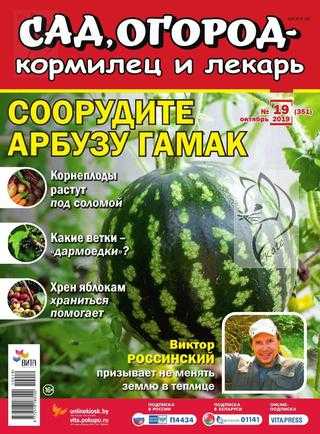 Сад огород кормилец и лекарь №19 октябрь 2019