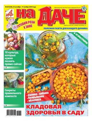 АиФ На даче №20 октябрь-ноябрь 2019