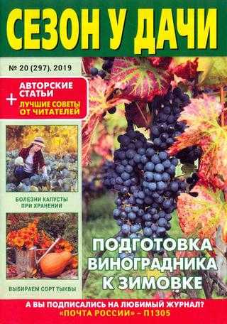 Сезон у дачи №20 октябрь 2019