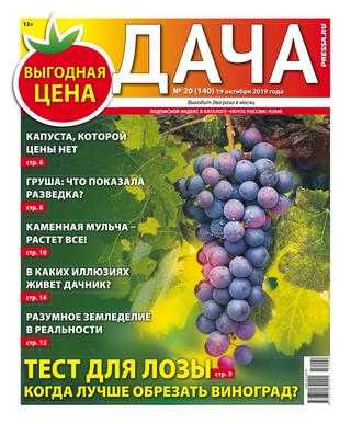 Дача №20 октябрь 2019