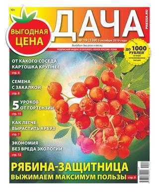 Дача №19 октябрь 2019