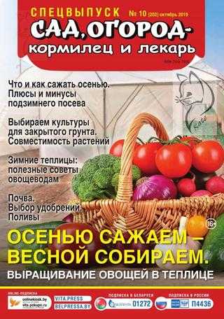 Сад огород кормилец и лекарь Спецвыпуск №10 октябрь 2019