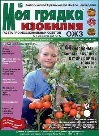 Моя грядка изобилия №11 ноябрь 2019