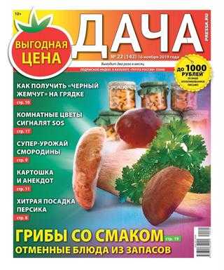 Дача №22 ноябрь 2019