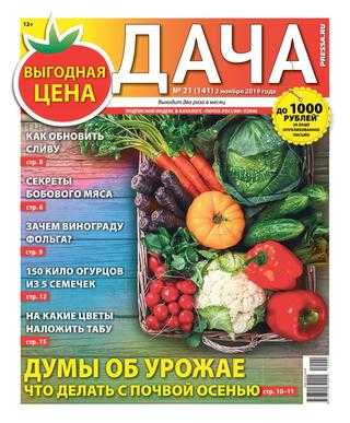 Дача №21 ноябрь 2019