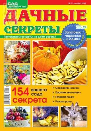Дачные секреты №11 ноябрь 2019