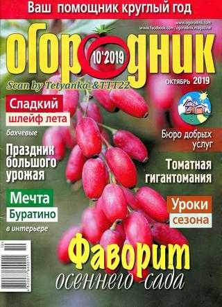 Огородник №10 октябрь 2019